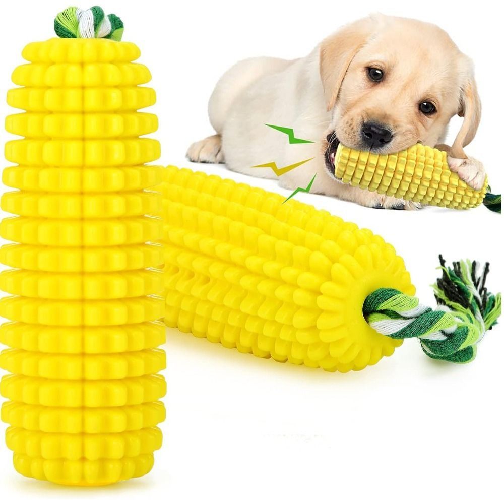 عصا مطاطية متينة للكلاب على شك - مراجعة Corn Dog Stick وسعره